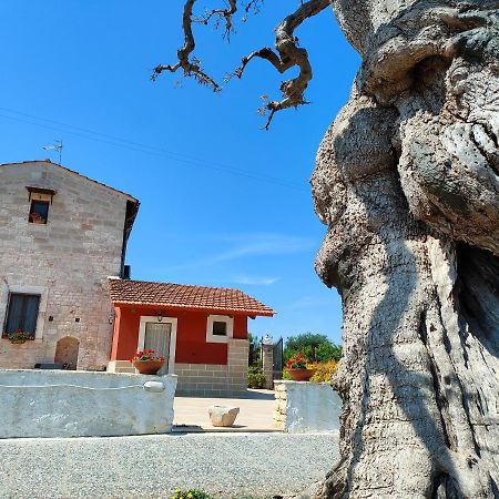 Donna Isabella Bed & Breakfast Conversano Ngoại thất bức ảnh